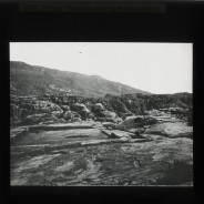 Böhl glass slide 61./1487